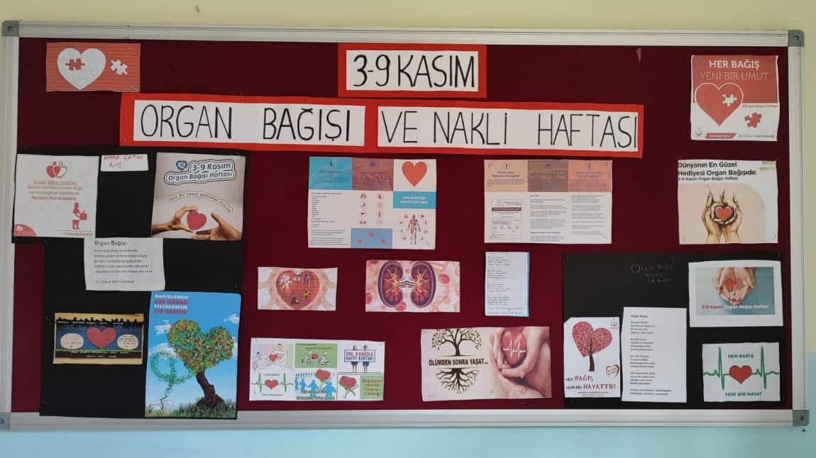 3 - 9 Kasım Organ Bağışı ve Nakli Haftası