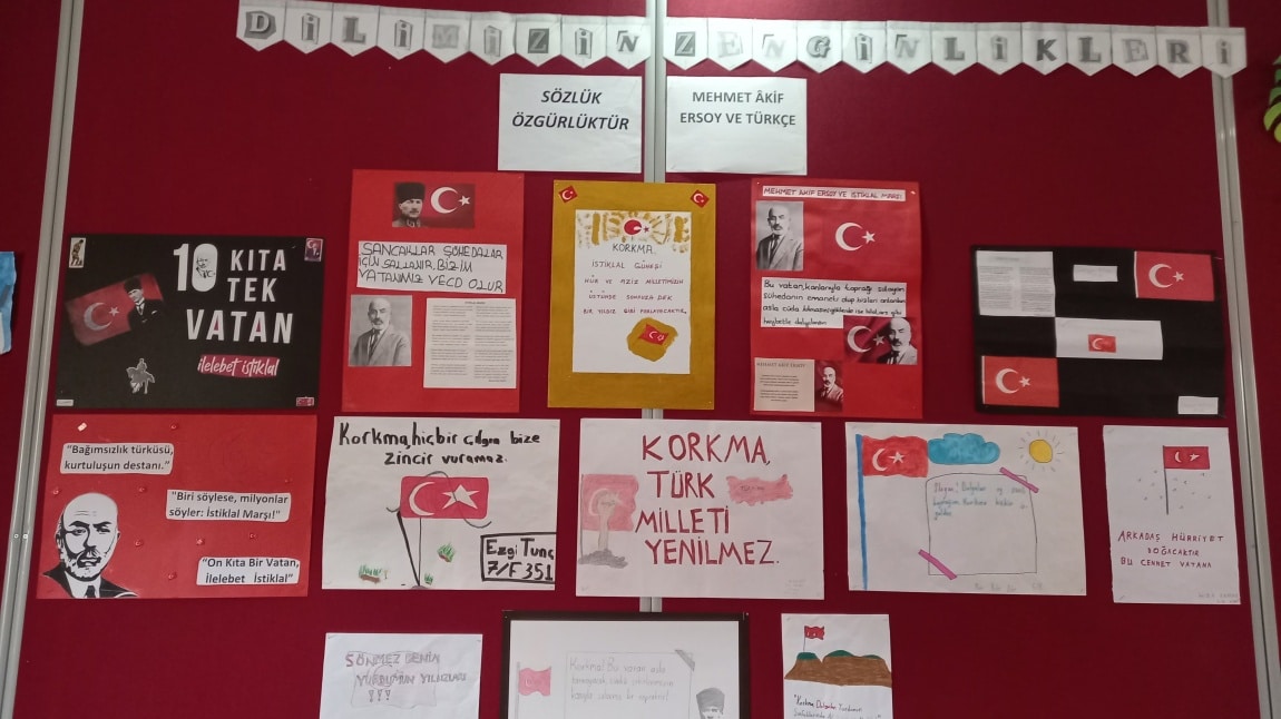 Dilimizin Zenginlikleri Mehmet Akif Ersoy ve Türkçe 
