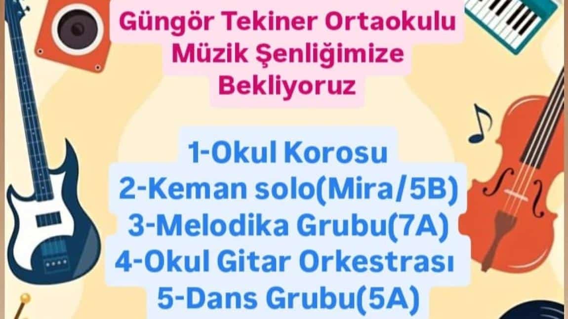 Müzik Şenliği