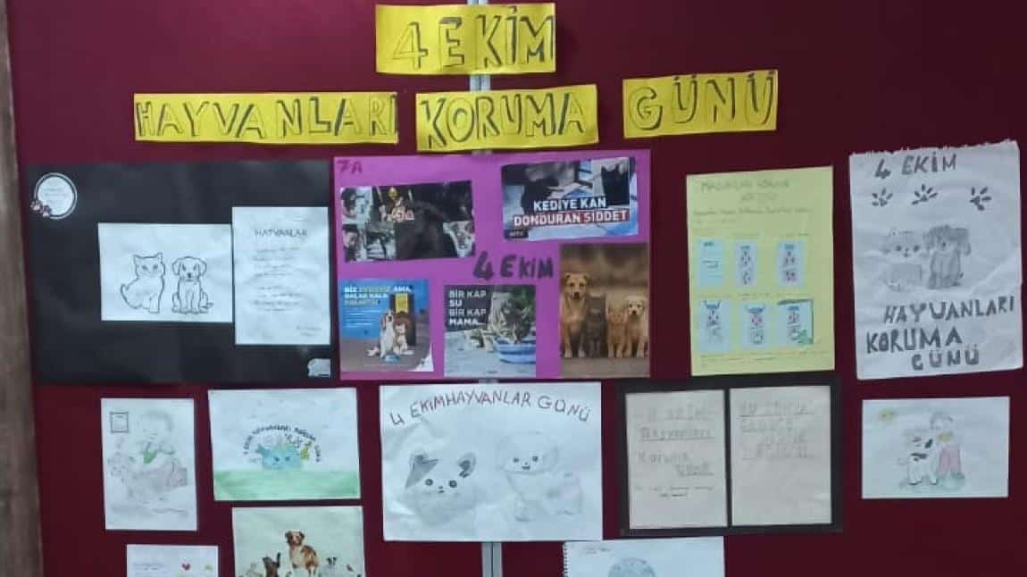 4 Ekim Hayvanları Koruma Günü 